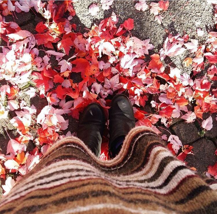 Sewaktu Dedaunan Meluruh