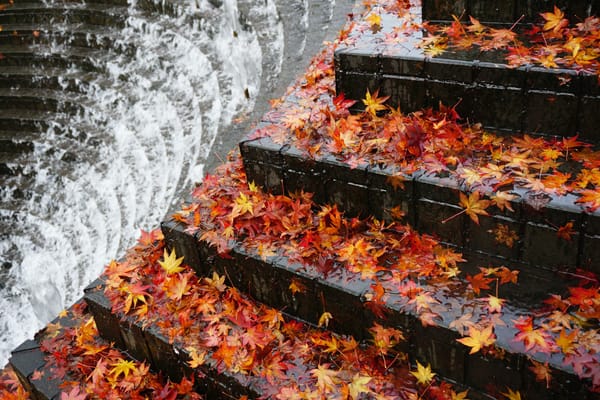 Hidup Tidak Membosankan