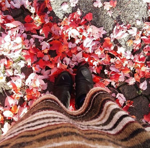 Sewaktu Dedaunan Meluruh